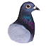 pigeon.png