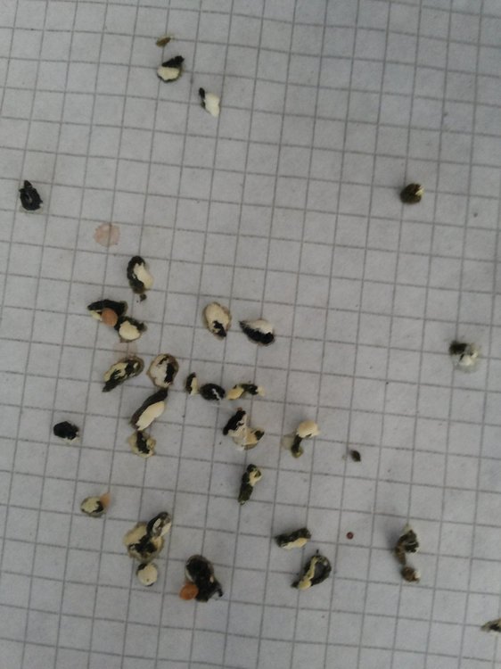 20180514_144358.jpg