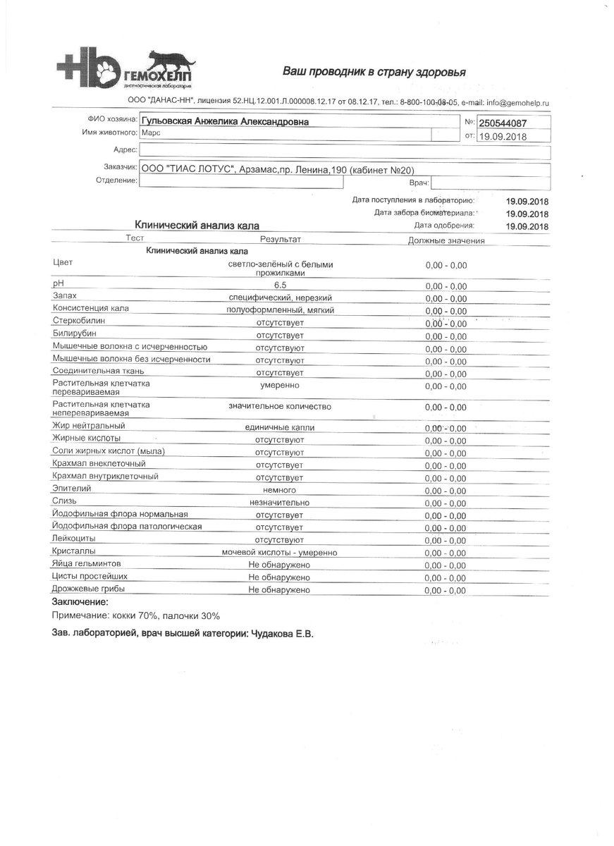 Как называется анализ кала на глисты