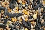 food-seed-mixes_0.jpg.0942e11d48fc356a0df3f5021d3a48e0.jpg