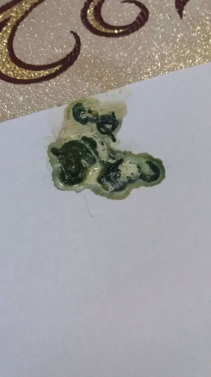 20181120_074117.jpg