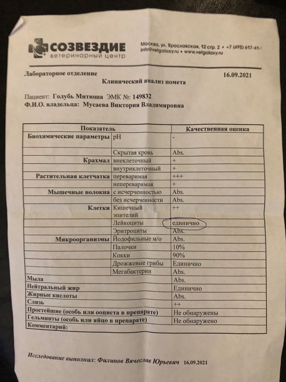 Кинический анализ помета Митюши_16.09.JPG