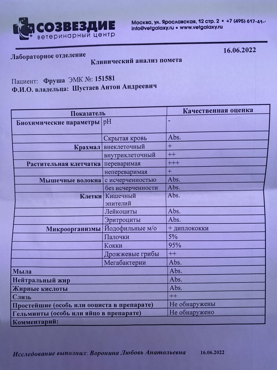 Молодой голубь. Трихомоноз и коккцидиоз - Страница 2 - Лечение голубей -  Форумы Mybirds.ru - все о птицах