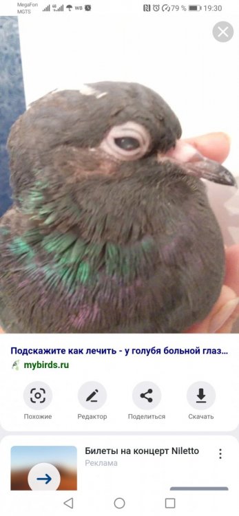 Screenshot_20220703_193050_ru.yandex.searchplugin.jpg