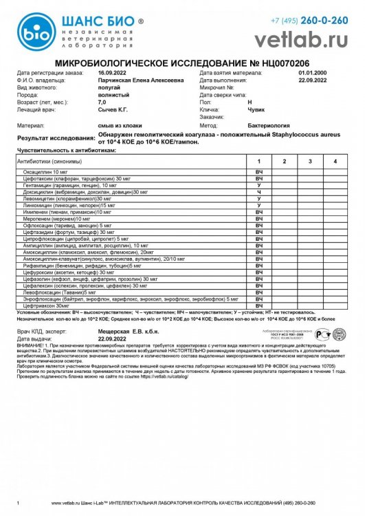 Микробиологическоеисследование_Парчинская_НЦ0070206.jpg