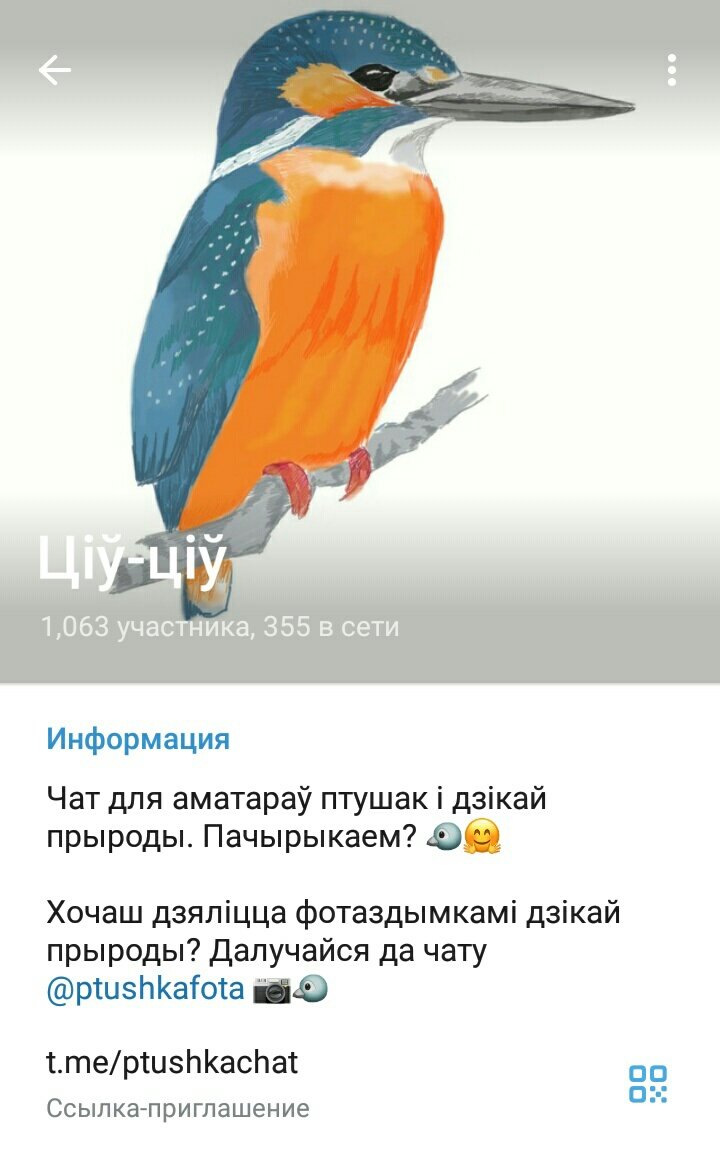 Врачи для птиц. Лаборатории - Страница 2 - Лечение голубей - Форумы  Mybirds.ru - все о птицах