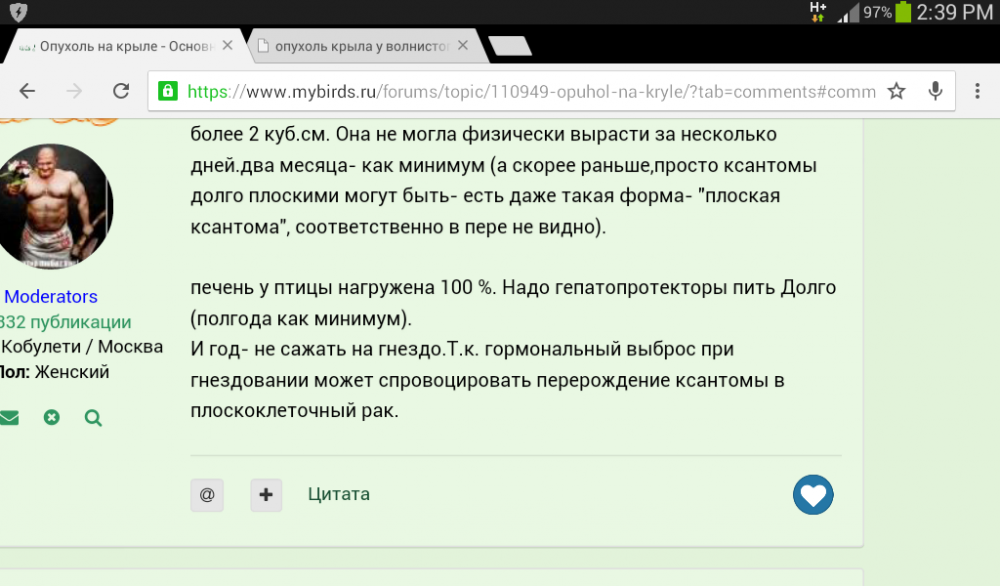 Screenshot_2023-03-03-14-39-45.png