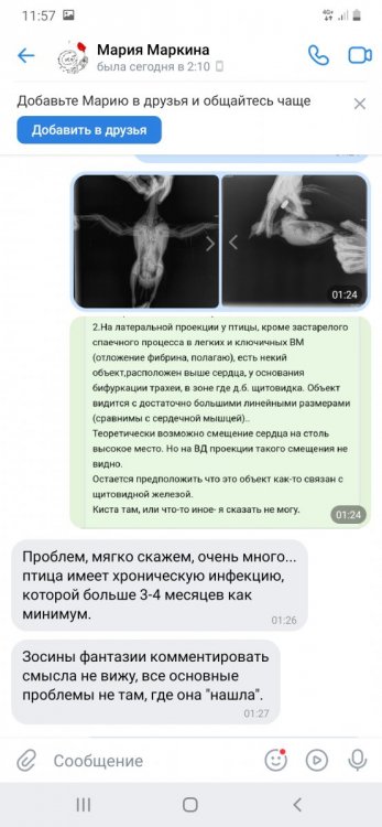 Screenshot_20230320-115718_VK.jpg