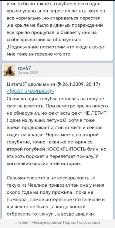 Screenshot_20230803_152409_com.yandex.browser_edit_34128145202603.jpg