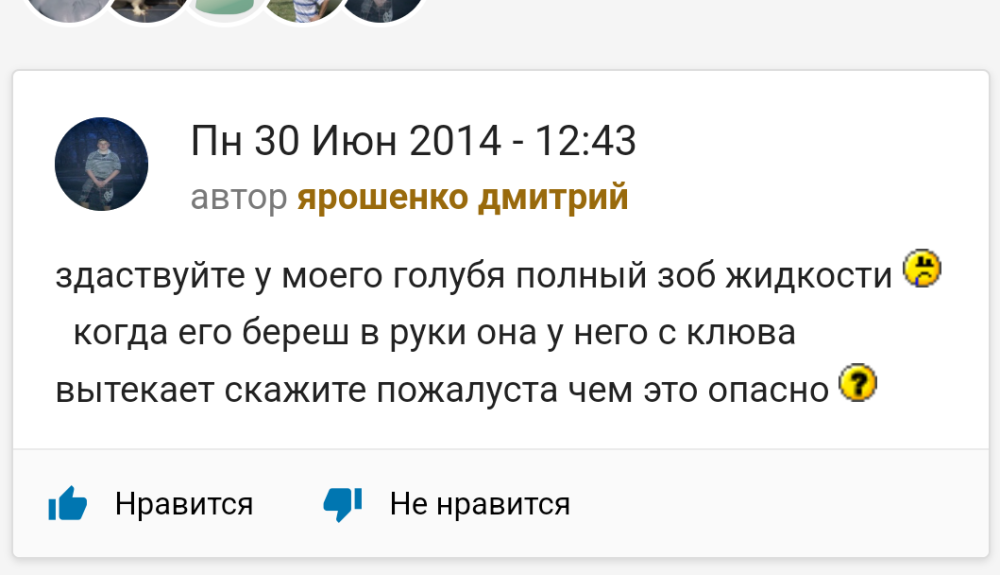 Screenshot_2023-10-19-12-43-08-424_com.yandex.searchapp.png