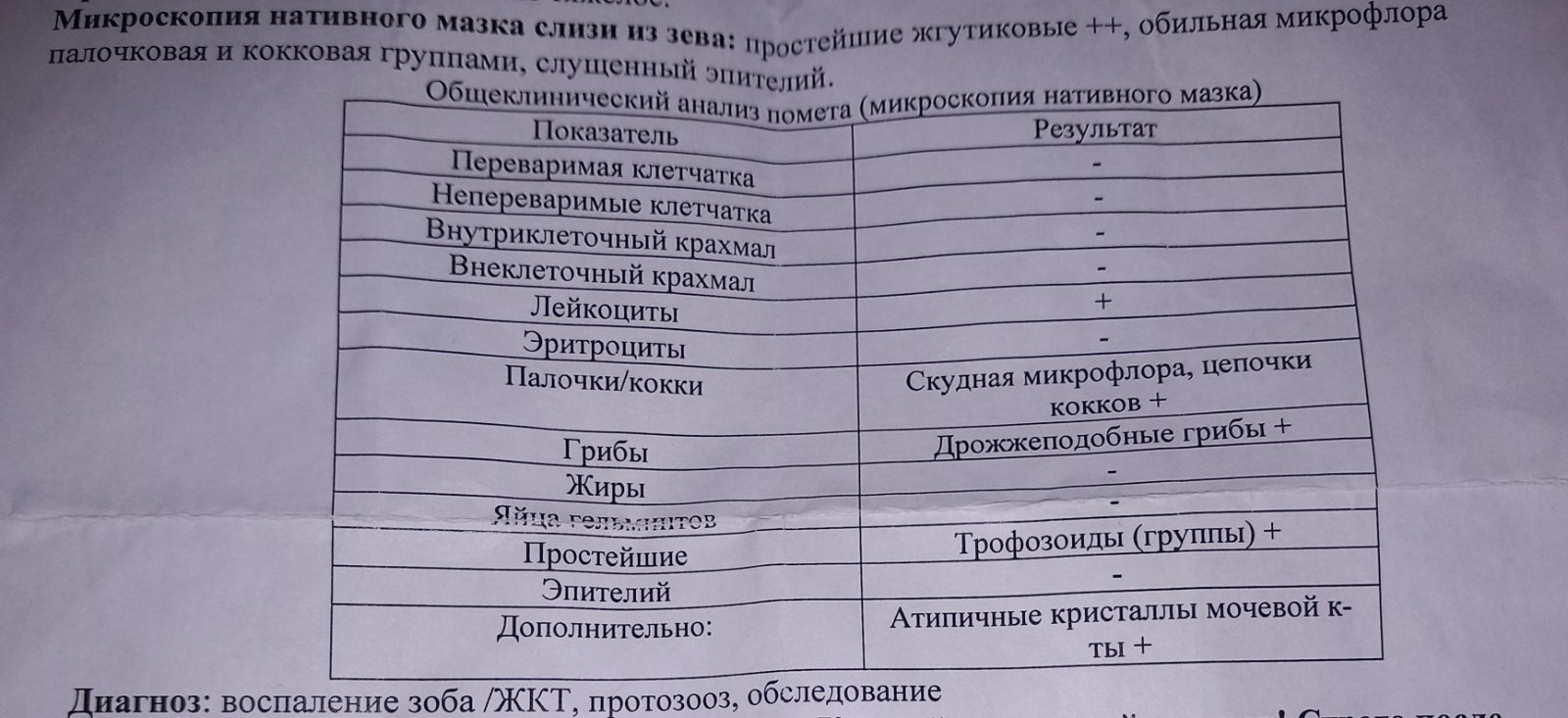 Можно ли попугаям давать полисорб как сорбент? (При восполении зоба) -  Основной раздел - Форумы Mybirds.ru - все о птицах