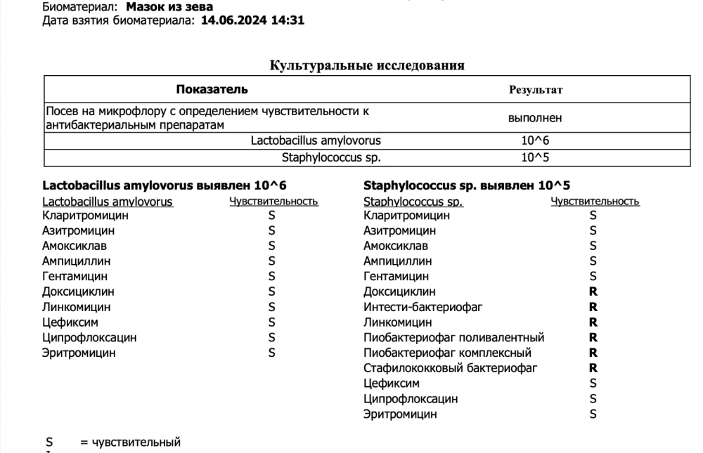 Снимок экрана 2024-06-30 в 22.51.25.png