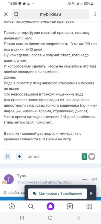 Screenshot_20240805-145545_Yandex.jpg