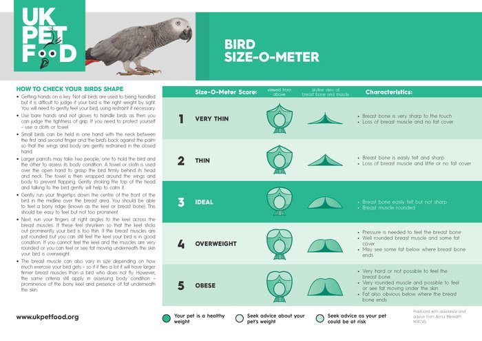 UK-Pet-Food-Bird-Size-O-MeterPage1.jpg.68d1f4cab9aa7b88ca01e167409e3bc2.jpg