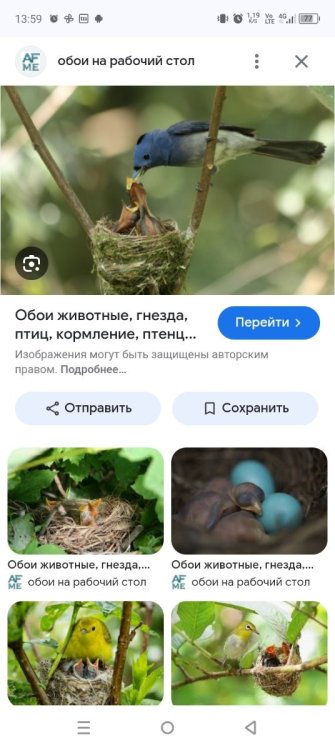 Screenshot_20250318-135923.jpg