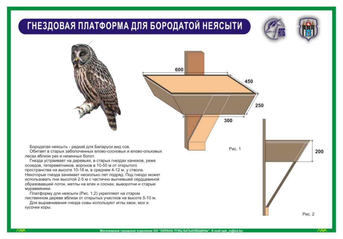 Скворечник сова чертеж