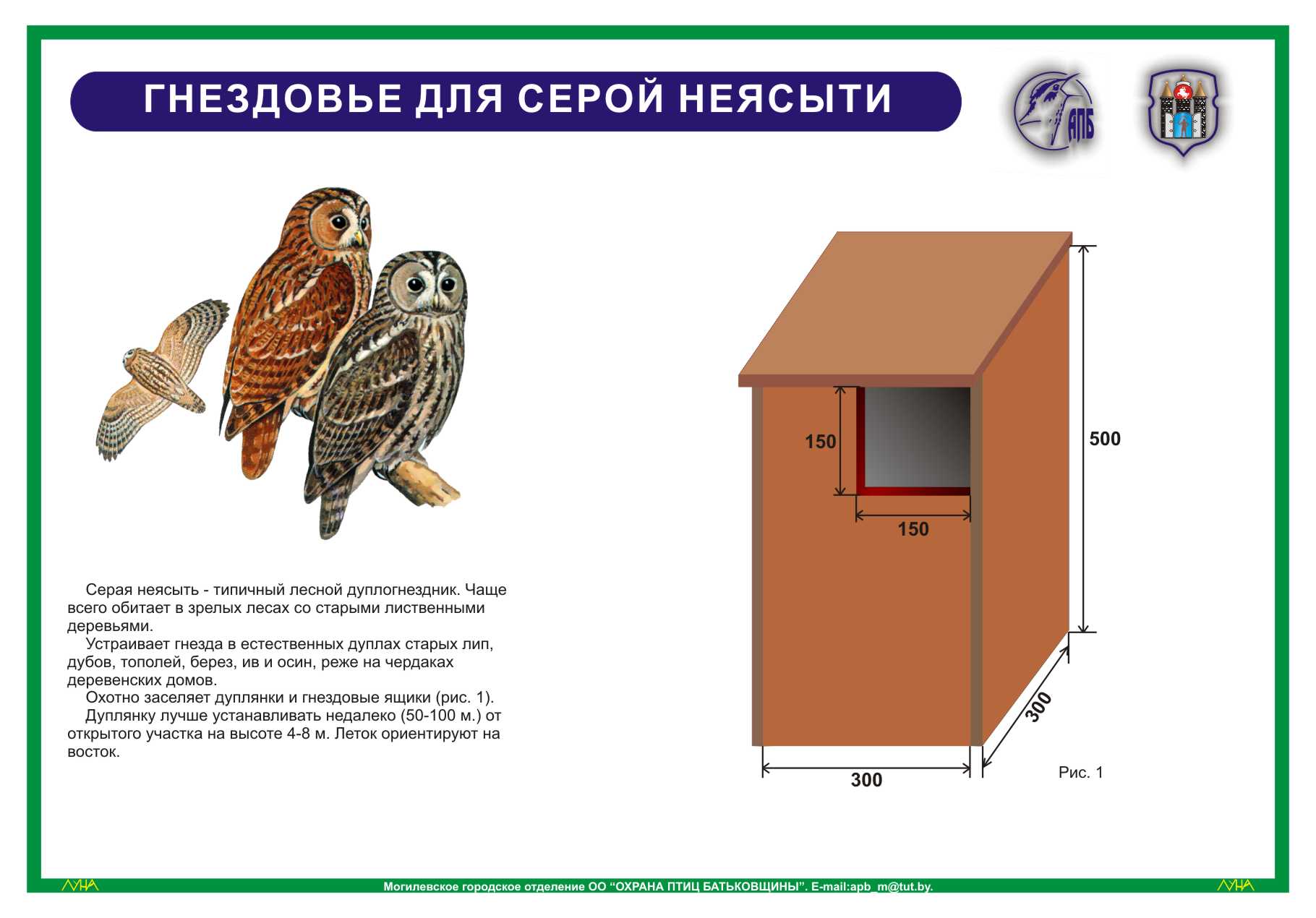 Рассмотрите изображение серой неясыти выберите