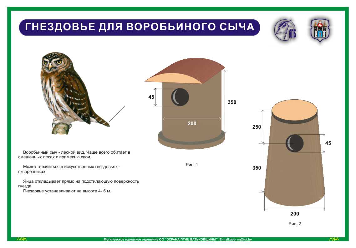 Скворечник сова чертеж